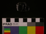 L_V23d3063 J3q96.1 U821 dM la f58 bl.jpg L_V23d3063 J3q96.1 U821 dM la f58 bl